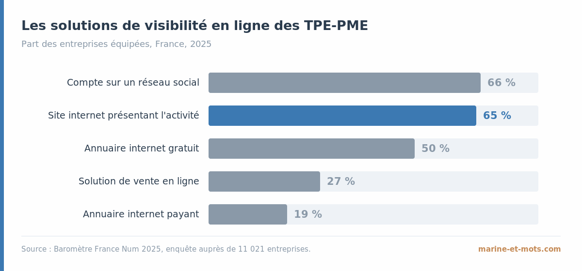 Graphique comparant les solutions de visibilité en ligne des TPE-PME françaises en 2025 selon le Baromètre France Num